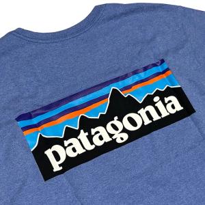 PATAGONIA パタゴニア P-6ロゴ レ...の詳細画像2
