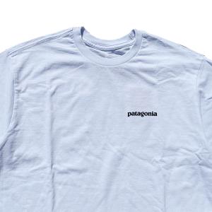 PATAGONIA パタゴニア P-6 ロゴ ...の詳細画像2