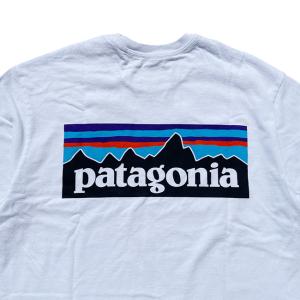 PATAGONIA パタゴニア P-6 ロゴ ...の詳細画像3