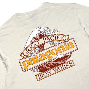 PATAGONIA パタゴニア キャプリーン ...の詳細画像4