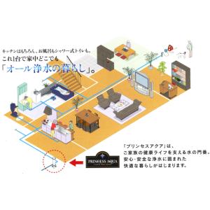 プリンセスアクア(PRINCESS AQUA)...の詳細画像1