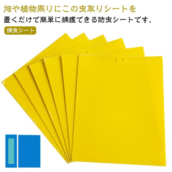 【50枚セット】 虫よけ 粘着シート ハエ取り紙 コバエ取り 粘着トラップ 粘着マット コバエ 虫取...