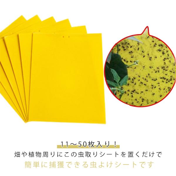 【11〜50枚入り】 虫よけ 粘着シート 虫取り 虫除け グッズ ハエ取り紙 コバエ取り 粘着トラッ...