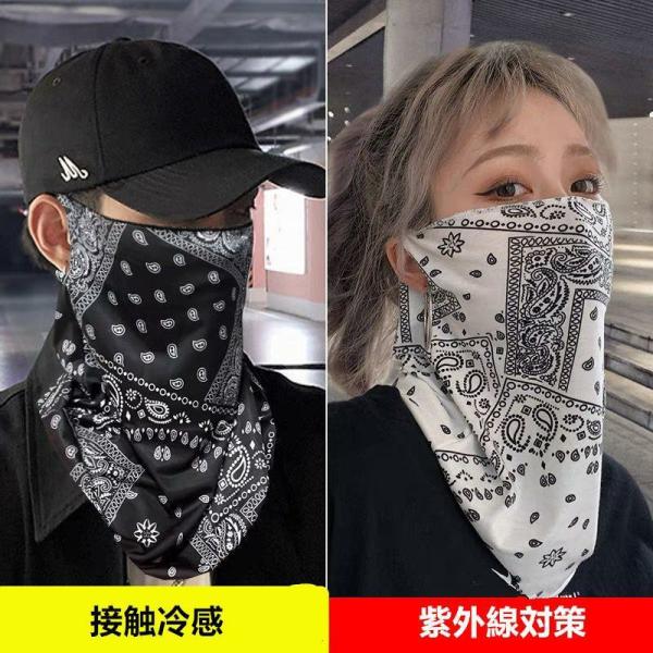 フェイスマスク レディース メンズ 2枚セットフェイスカバー 男女兼用冷感 UVカット 紫外線対策サ...