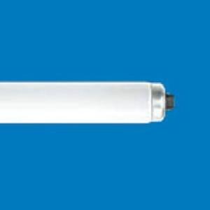 NEC ライフラインII FLR110HW/A/100 10本入 (FLR110HWA100) 白色 