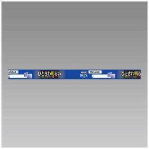 ライフルックHG（ホタルクス） Hotalux FL10EX-D-X2 昼光色 10W形