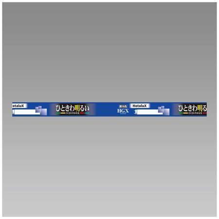 Hotalux FL10EX-D-X2 10本セット 昼光色 ライフルックHGX 10W形 直管スタ...