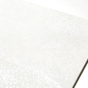 G.C.PRESS 不祝儀金封 多目的 天穹 ...の詳細画像2