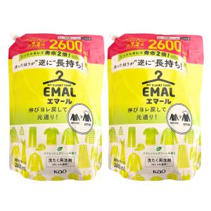 エマール おしゃれ着用 洗濯 洗剤 リフレッシュグリーン 2600ml×2袋セット｜アクティビティ