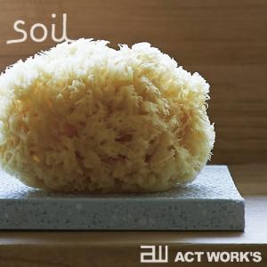 soil スポンジトレイ ソイル スポンジトレー 珪藻土 吸水性