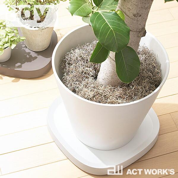 全3色 tidy プランタブル L 植木鉢トレー テラモト Plantable L ティディ 観葉植...