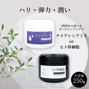 SHOBIDO 【3個セット】オールインワンジェル スキンケア 基礎 SHOBIDO 【3個セット】オールインワンジェル スキンケア 基礎