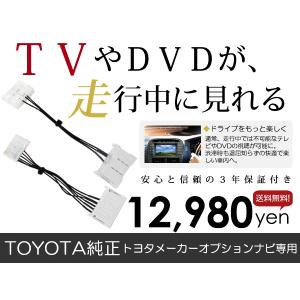 メール便送料無料】テレビキット スカイラインGTR R34 後期 H12.9〜H14