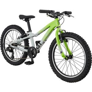 子ども　自転車 GT 20インチ　ストンパーエース GT STOMPER ACE 20 (ストンパー エース 20) 2020年モデル 自転車