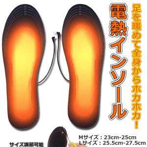 インソール 電熱 中敷き ヒートインソール U...の詳細画像1