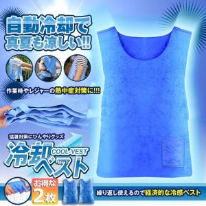 冷却ベスト 水冷 クールベスト 冷感ベスト 2...の詳細画像1