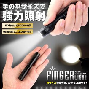 懐中電灯 d07-6a ×1個の商品画像