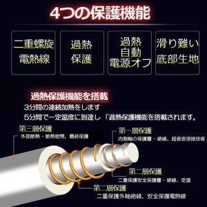 カーシート ヒーター ホットカーシート 運転席...の詳細画像5