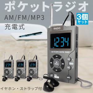 JVCケンウッド（JVC KENWOOD） ワイヤレスマイク ヘッドセット 講演会