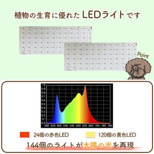LED植物育成ライト 植物育成ライト 2連 6...の詳細画像4