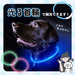 光る首輪 犬 点灯 2個セット 首輪 光る l...の詳細画像3
