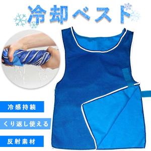 冷却ベスト クールベスト 冷感ベスト 冷却 熱中症 猛暑対策 冷却服 ひんやりグッズ 工事現場 工場内 屋外 スポーツ 冷感 涼しい 保冷服