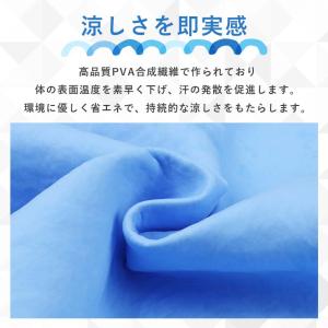 冷却ベスト クールベスト 冷感ベスト 冷却 熱...の詳細画像5