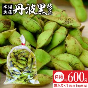 2023年度産 丹波黒の枝豆 600g袋入り（600g×1） 超破格 もっちり旨い 秋の味覚 黒枝豆 枝豆 えだまめ 黒豆 丹波黒 篠山 丹波 ささやま たんば