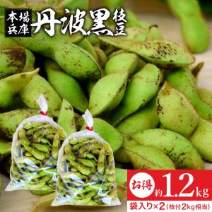 2023年度産 丹波黒の枝豆 1.2kg袋入り（600g×2）送料無料 超破格 もっちり旨い 秋の味覚 黒枝豆 枝豆 えだまめ 黒豆 丹波黒 篠山 丹波 ささやま たんば