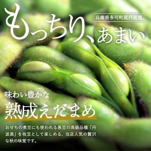2026年度産 丹波黒の枝豆 1.2kg袋入り...の詳細画像2