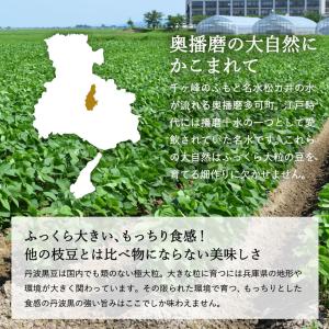 2026年度産 丹波黒の枝豆 1.2kg袋入り...の詳細画像3