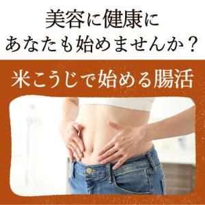 ＼安心の無添加/ 足立醸造 乾燥 米こうじ 2...の詳細画像1