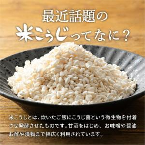 ＼安心の無添加/ 足立醸造 乾燥 米こうじ 2...の詳細画像3