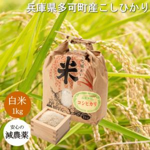 新米 令和7年度産 兵庫県 多可町産 こしひかり 5kg 2025年度産 減農薬