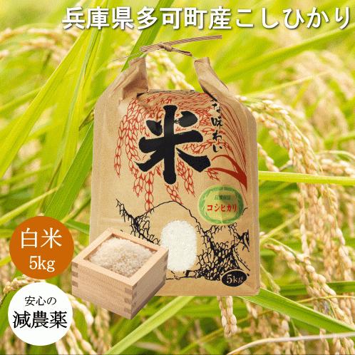 新米 令和7年度産 兵庫県 多可町産 こしひかり 5kg 2025年度産 減農薬 無化学肥料 国産 ...