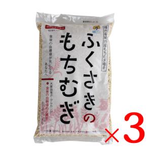 もち麦 もち麦 国産 麦 国産もち麦 精白麦 ふ...の商品画像