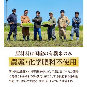 無添加 有機 乾燥 米こうじ 400g 米麹 ...の詳細画像3