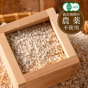 無添加 有機 乾燥 米こうじ 400g 米麹 ...の詳細画像4