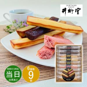 ギフト バレンタイン 洋菓子 井桁堂 スティックケーキギフト9個入00172 送料無料 最短発送 お菓子 詰め合わせ 食品 内祝い お祝い お返し 香典返し 熨斗