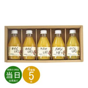 母の日 ギフト 野菜飲料 伊藤農園 100%ピュアジュース5本ギフトセット50705g-2 送料無料 あす着く 内祝い お返し お礼 プレゼント セット 志 お供え 香典返し