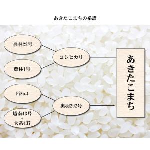 無洗米 10kg 送料無料 あきたこまち 秋田...の詳細画像5
