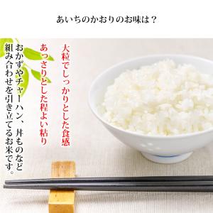 無洗米 10kg 送料無料 あいちのかおり 5...の詳細画像4