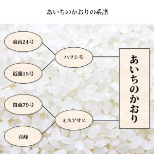 無洗米 10kg 送料無料 あいちのかおり 5...の詳細画像5