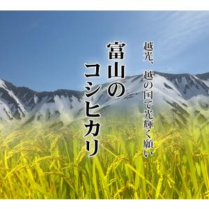 お米 5kg 送料無料 白米 コシヒカリ 富山...の詳細画像1