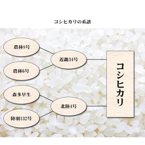 お米 5kg 送料無料 白米 コシヒカリ 富山...の詳細画像4