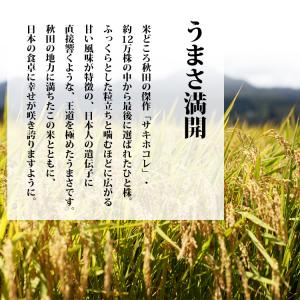 無洗米 10kg 送料無料 サキホコレ 5kg...の詳細画像4