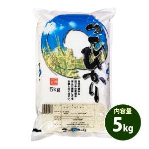 お米 5kg 送料無料 白米 コシヒカリ 愛知県産 令和5年産 お米 5キロ あす着く食品