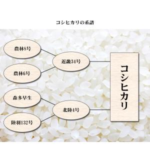 無洗米 10kg 送料無料 コシヒカリ 5kg...の詳細画像5