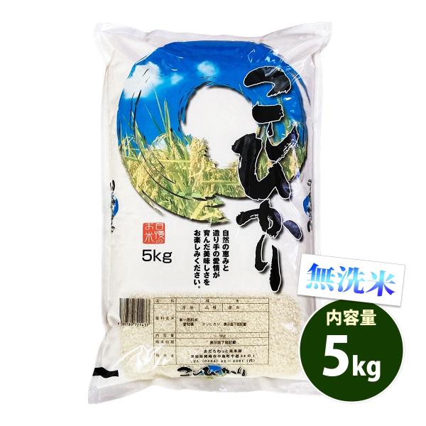 無洗米 5kg 送料無料 コシヒカリ 愛知県産 令和5年産 米 5キロ お米 あす着く食品