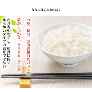 お米 5kg 送料無料 白米 ななつぼし 北海...の詳細画像3